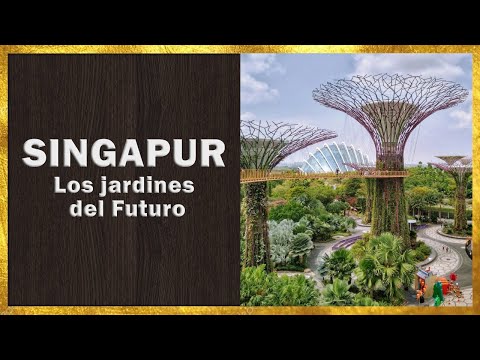 [🔐] Los Jardines del FUTURO | Singapur