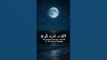 اكتب شئ تؤجر عليه 🖤🎧 /القارئ ياسر الدوسري