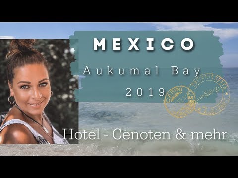 Video: Rettung Der Schildkröten Von Akumal Bay - Matador Network