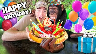 Baby Chimpanzee Turns 6 Years Old ! Happy Birthday !!