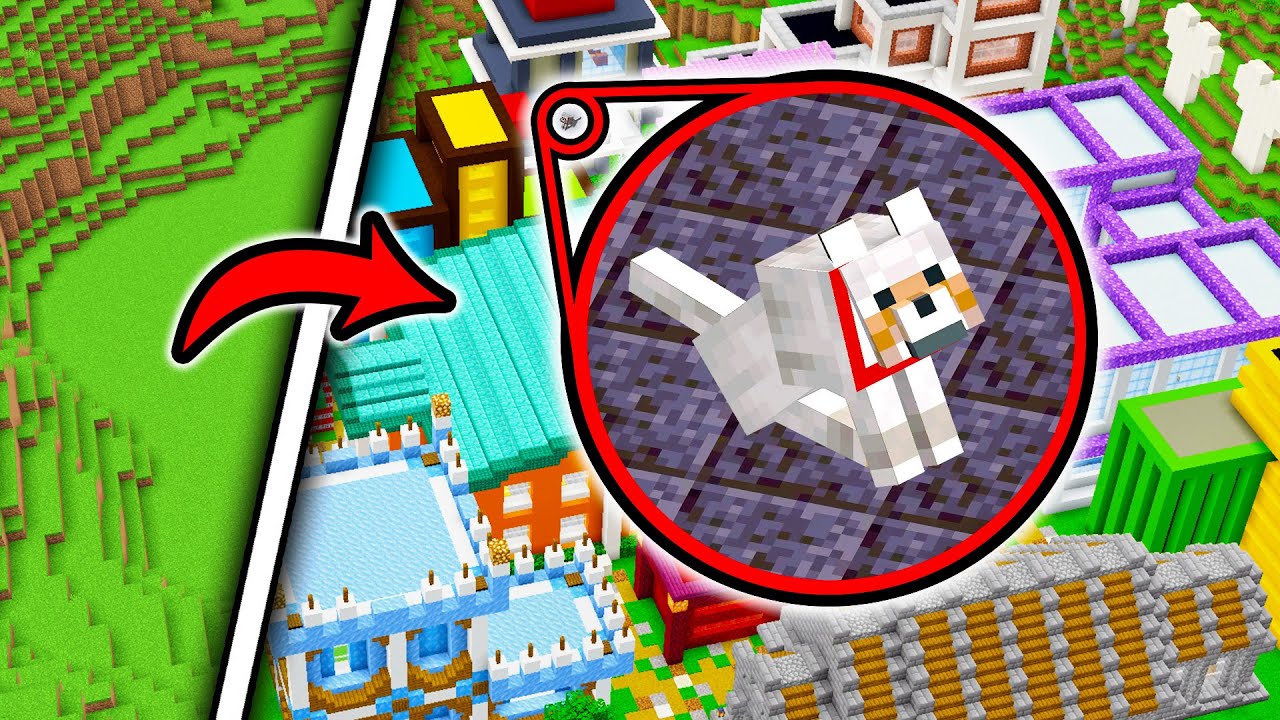 I Built An ENTIRE City For My Dog YouTube I Built An ENTIRE City For My Dog YouTube