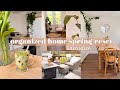 Spring home reset  simple living home organization declutter clean with me homemaking motivation