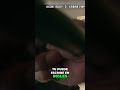 Spirit Airlines Passenger Attack on Flight Crew #shorts