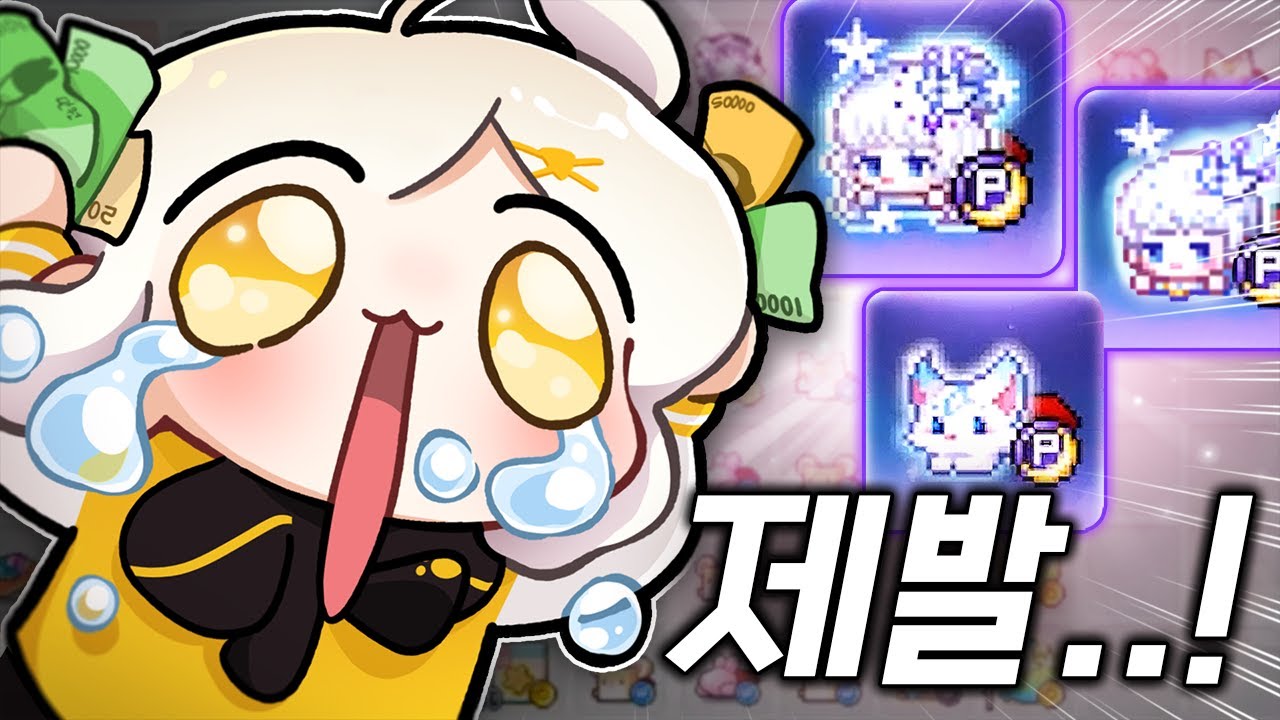 메이플스토리 자석펫 멸망전..