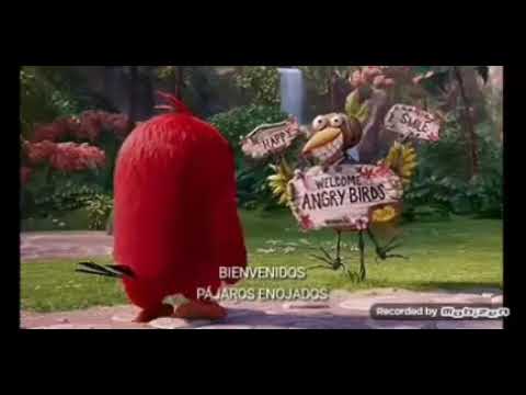 Angry birds la pelicula: Red vs Billy