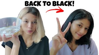 CAT RAMBUT HITAM SEMPURNA~ | GARNIER HAIR COLOR HITAM ALAMI