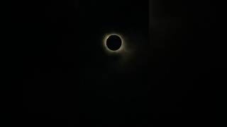 100% Solar Eclipse in Dallas, Texas Totality Eclipse #dallas #eclipse #solareclipse #totaleclipse Net Worth