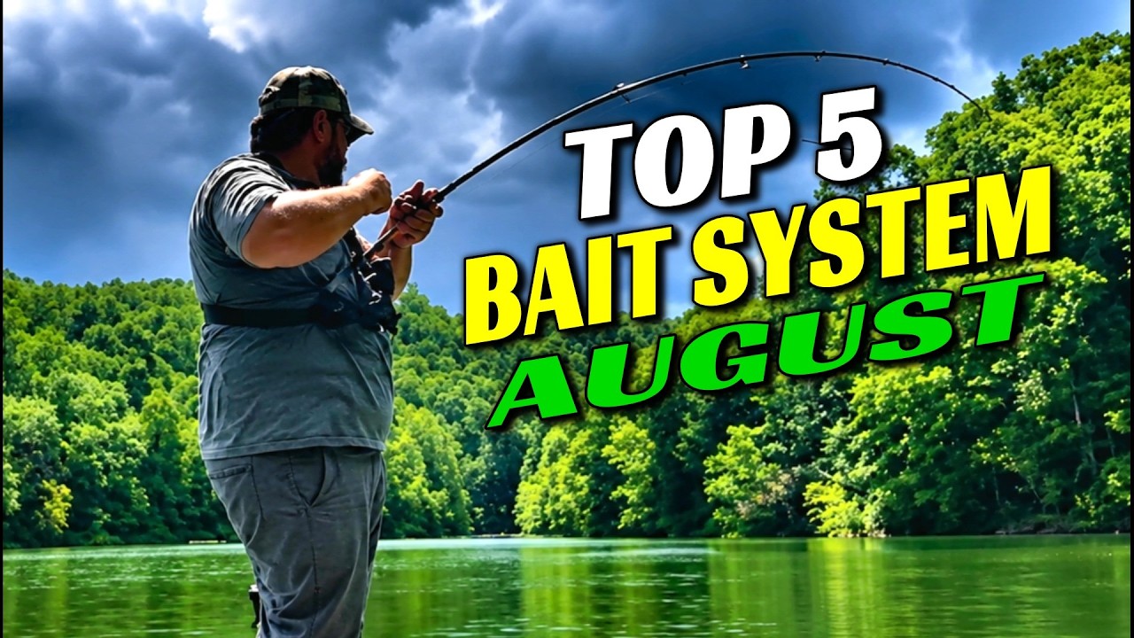 The Top 5 August Bass Baits (My All-Day Fishing System)