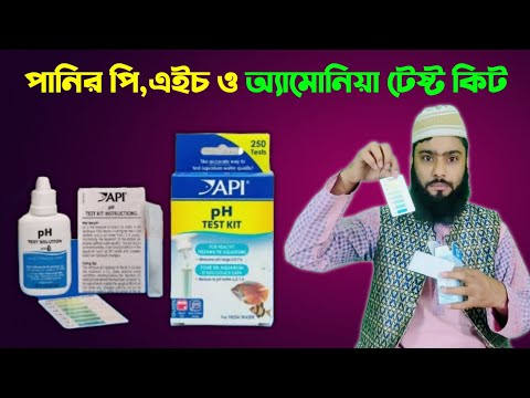 ভিডিও: কিভাবে ফেসবুক পেজের জন্য আরও ভক্ত পাবেন