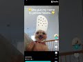 Doge edit