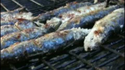 Grilled Portuguese Sardines