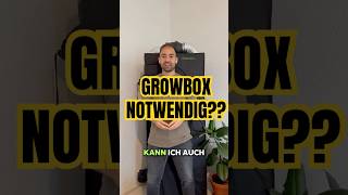 Braucht Man Unbedingt Eine Growbox Für Brokkoli Anbau?