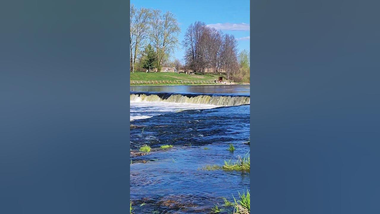 Рыба Летает #латвия Кулдига Венте☀️ Самый широкий водопад в Европе 🌊 ...