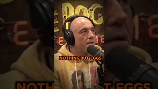 Famous Joe Rogan Believes Eggs Are Very Healthy #jreclips Profile