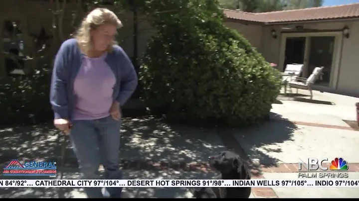 Riverside County Support Dog Lila Training to Help...