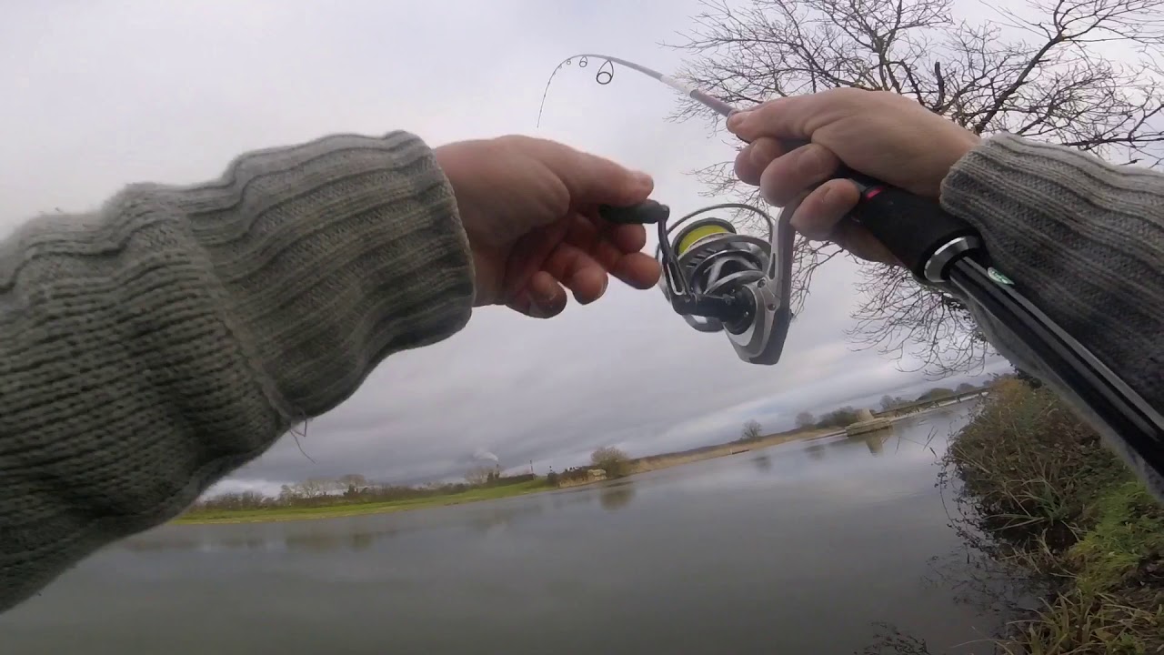 grosse perche au plomb palette