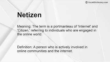 Netizen Meaning