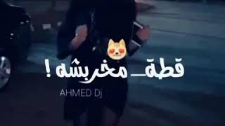 حسن شاكوش انتي بسكوتايه