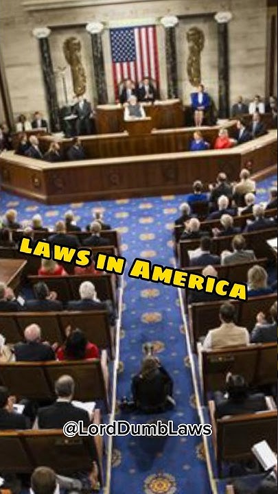 dumb-laws-in-the-usa-shorts-laws-dumb-youtube