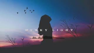 AFROBEAT INSTRUMENTAL - DUSKY LIGHT chords