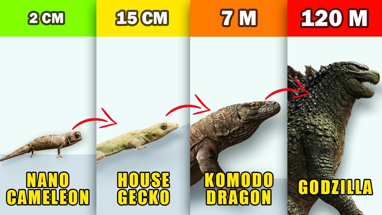 7 Lizard Size Level Ranked, Ending With Godzilla - YouTube