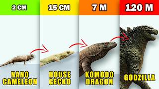 7 Lizard Size Level Ranked, Ending With Godzilla