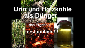 Was zersetzt Urin?