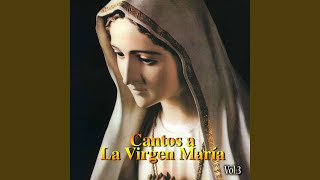Santa Maria del Camino - Clamor Mariano