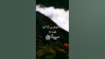 ماهر المعيقلي - سورة النساء ( برواية حفص عن عاصم ) الأية 67