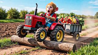 Monkey BoBo’s Funny Farm Adventure on a Tiny Tractor 🚜🐵 - BoBo Monkey Life