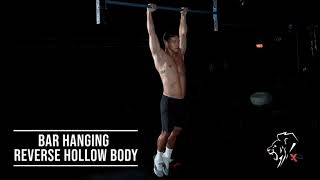 Bar Hanging Reverse Hollow Body