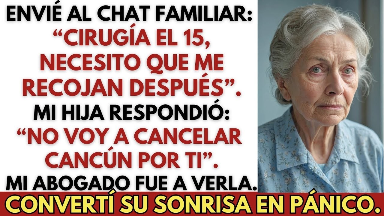 Envié al chat familiar  “Cirugía el 15, necesito que me recojan después”  La respuesta de mi hija