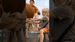 Little Iranian Milking Cow Vlog Milking By Hand Today Tatiane Dairy Farm