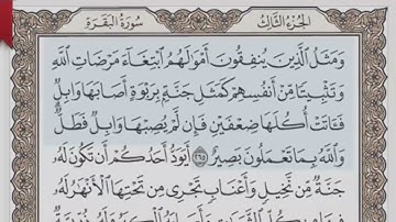 القرآن الكريم بالأجزاء ج⧸ 3 الشيخ محمود خليل الحصري بمد المنفصل
