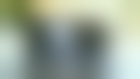 Reflecting Team ( Archive 2009 )