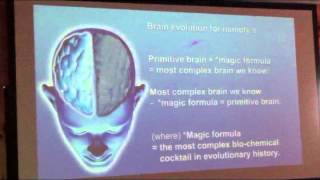 ‘A journey to the edge of the human mind. ’ by Tony Wright Part 1