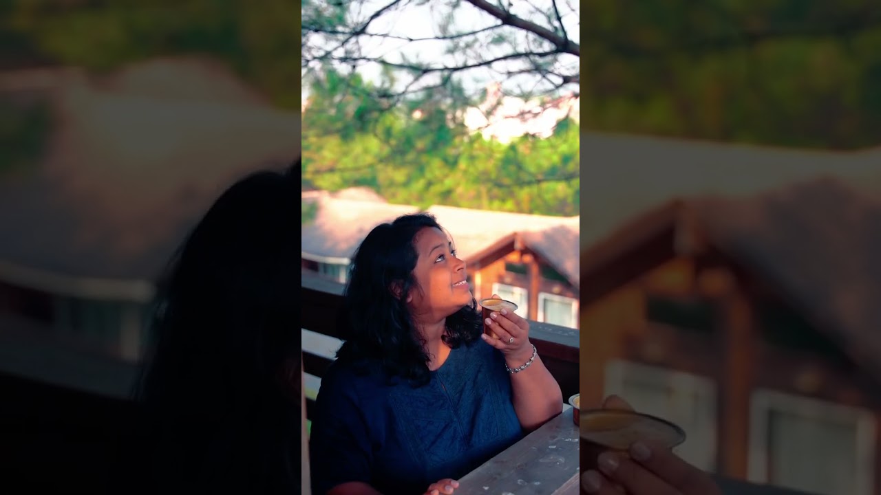 South Indian Coffee Secret: Escape to the Mountains with Vibean Coffee 