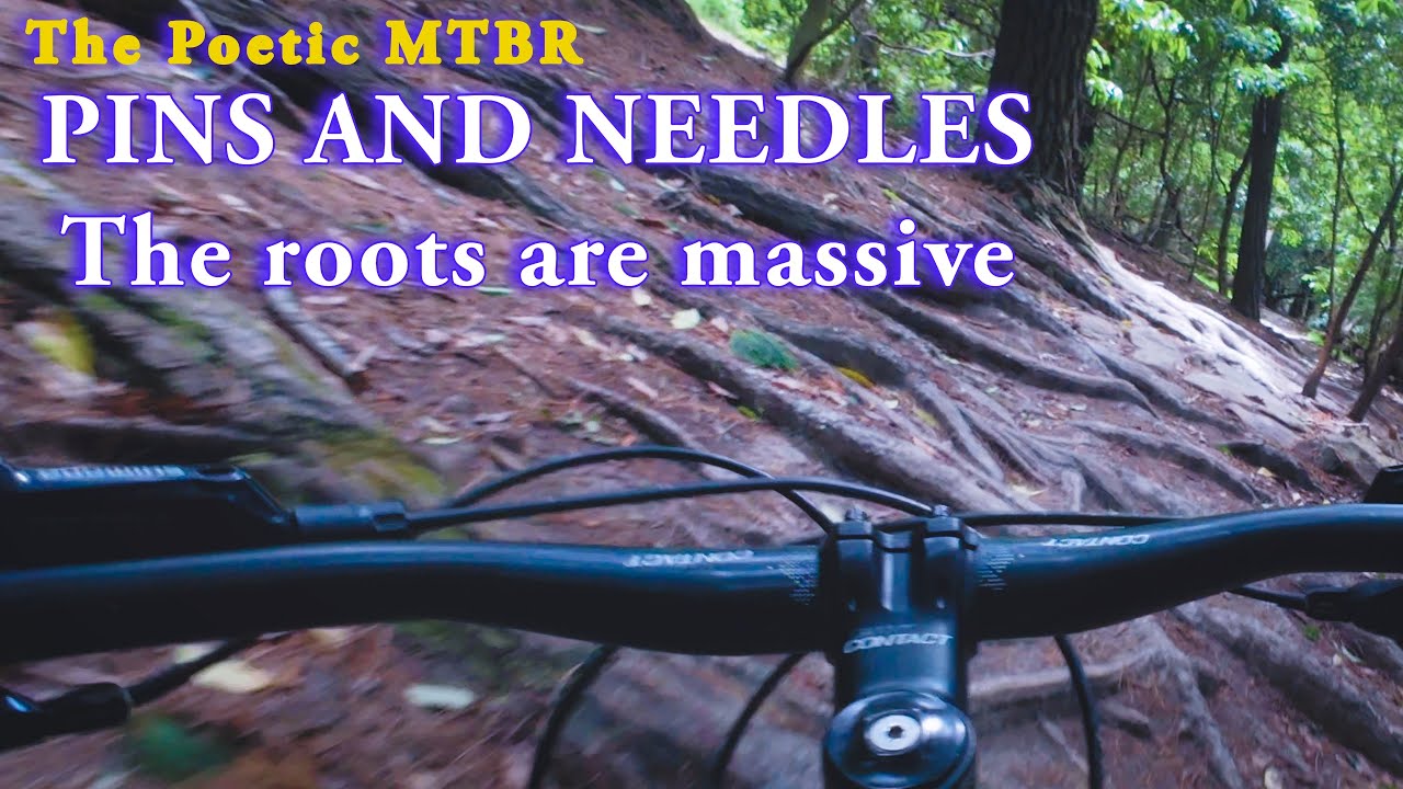 MOUNTAIN BIKING Red Hill PINS AND NEEDLES THE ROOTS ARE MASSIVE