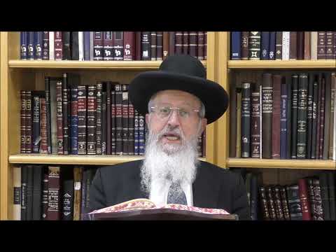 הגאון הרב אברהם יוסף שליט"א האם חייבים לקיים מצוות בדיקת חמץ אחרי כל הניקיונות שהאישה עשתה