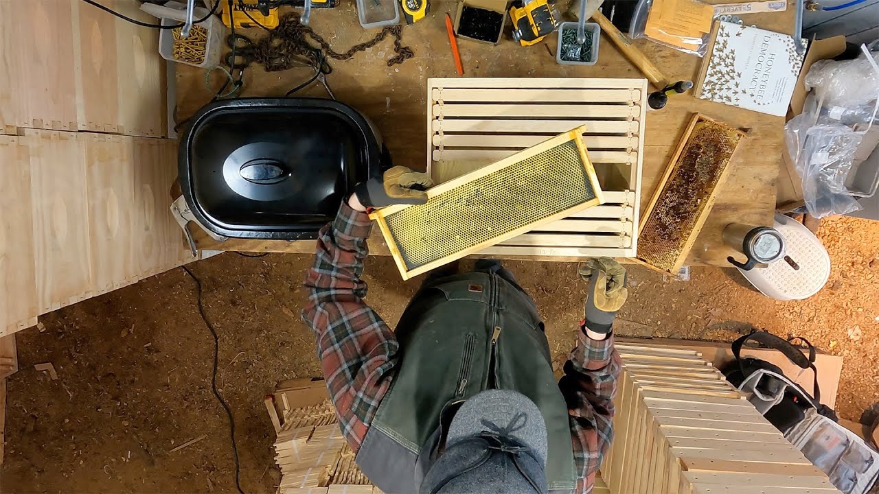 How To Bait & Lure Swarm Traps Swarm Trapping 2 YouTube