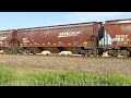 BNSF grain south GE 4987 lead 1 DPU
