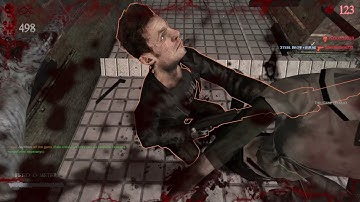 Zombie Panic! Source - zpo_section_override_v1b