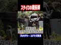 スタイロフォームでザクを作るプロモデラー【プラモ奥義伝承】【コジマ大隊長】