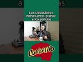 Los ciudadanos deberíamos grabar a los policias #seguridadpública #seguridadvial #policias