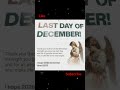 Last day of the year #newyear #lastdayoftheyear #music
