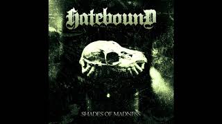 Hatebound - Shades Of Madness (Full album, 2020) [Black Metal/Groove Metal/Extreme Metal]