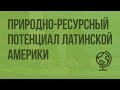 Природно-ресурсный потенциал Латинской Америки. Видеоурок по географии 10 класс