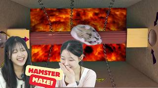 Koreans React To Hamster Maze Escape Cy