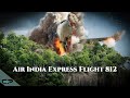 Sleeping pilot tragedy the harrowing true story of air india express flight 812