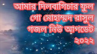 আমার দিল বাগিচার ফুল গো মোহাম্মদ রাসুল গজল